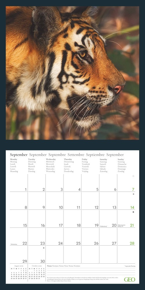 Bild: 4002725988621 | GEO - Amazing Nature 2025 Wandkalender 30x30 cm - Fotokalender für...