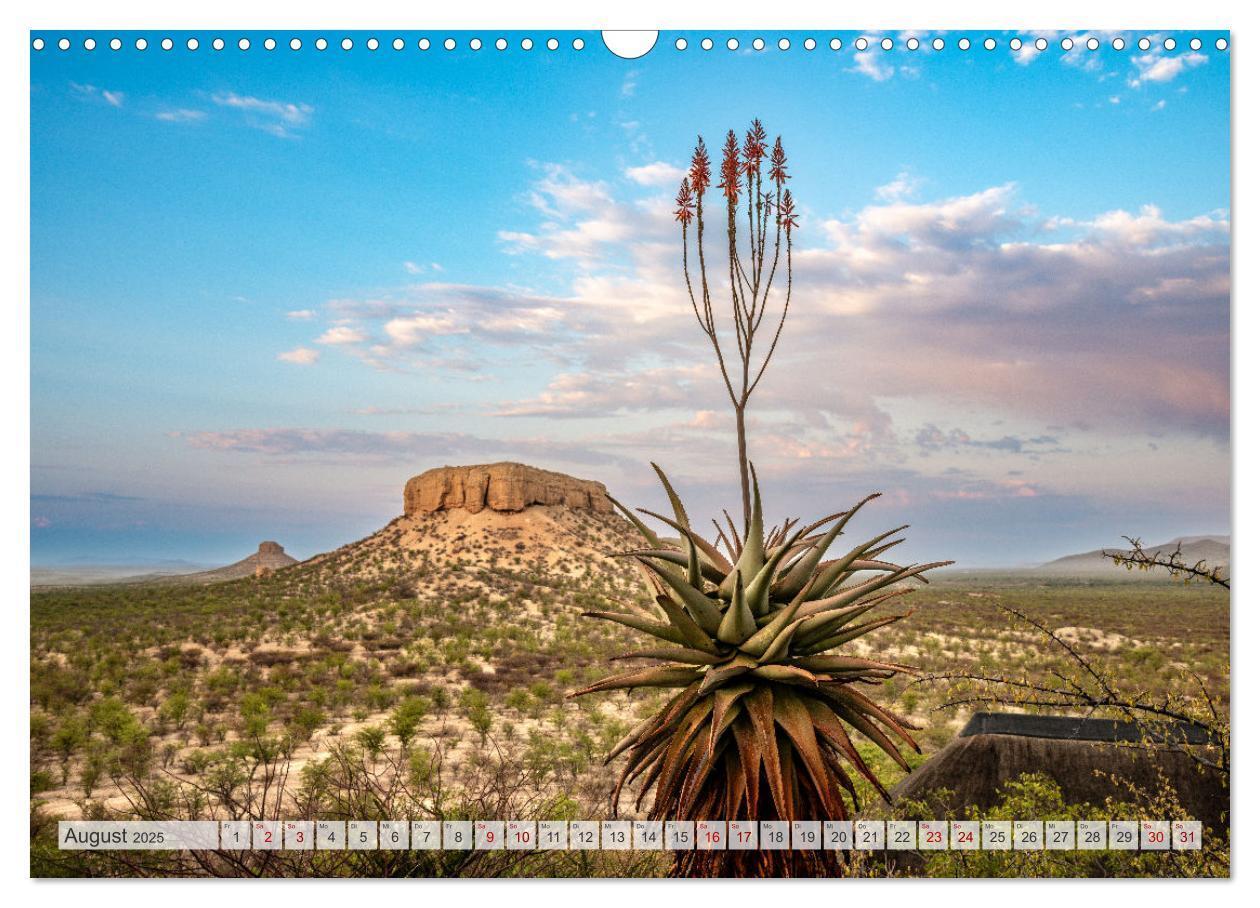 Bild: 9783383852459 | Abenteuerliches Namibia (Wandkalender 2025 DIN A3 quer), CALVENDO...