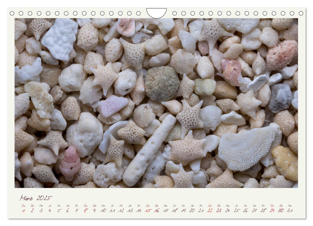 Bild: 9783435135479 | Abenteuer Mikrofotografie Sand (Wandkalender 2025 DIN A4 quer),...