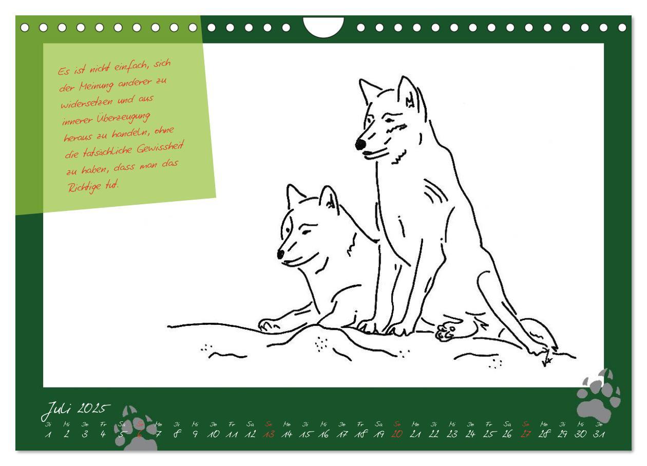 Bild: 9783435726660 | Der kleine GROSSE Wolf - Kalender (Wandkalender 2025 DIN A4 quer),...