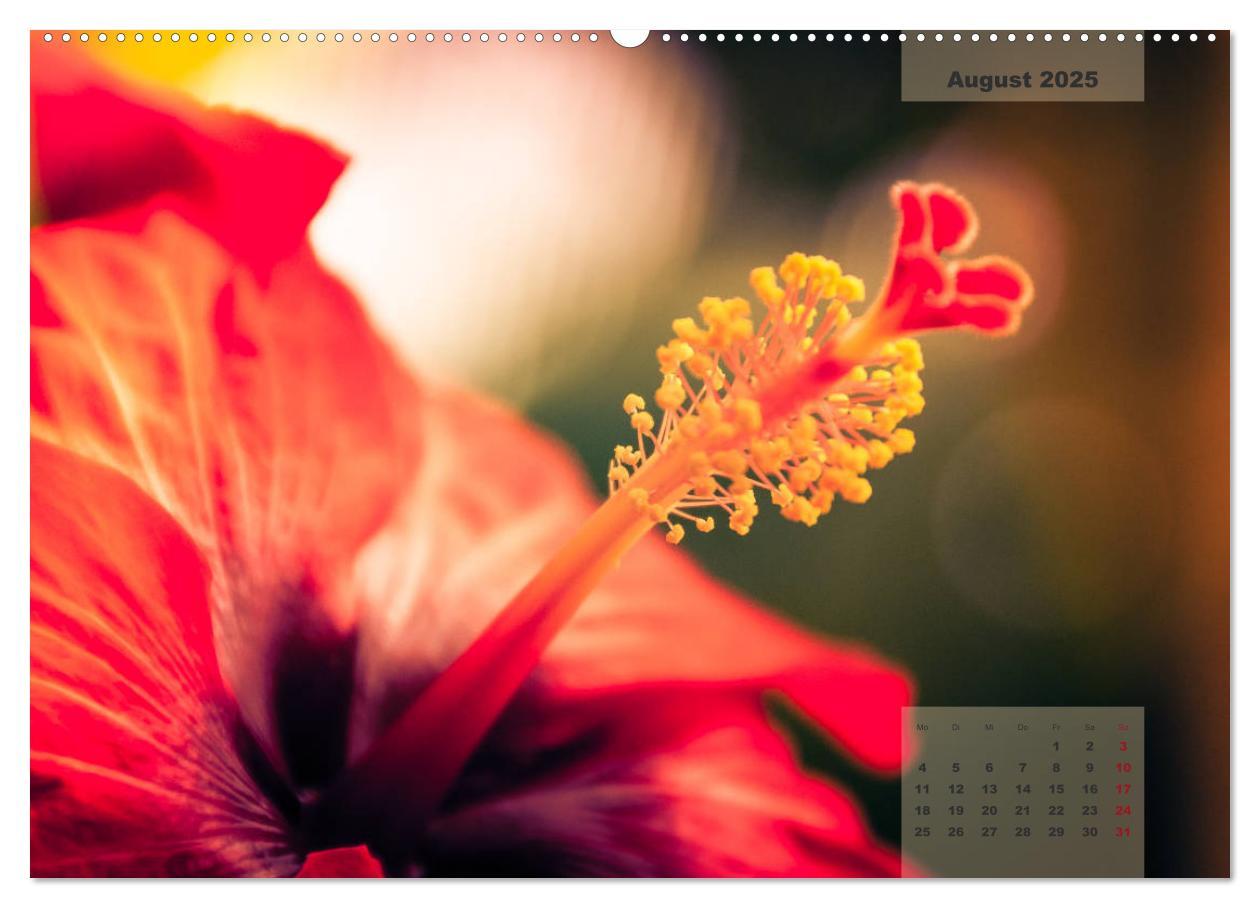 Bild: 9783435301829 | Blüten im Retro-Style (hochwertiger Premium Wandkalender 2025 DIN...