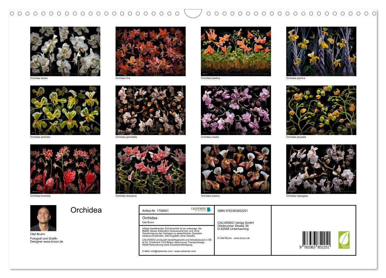 Bild: 9783383852251 | Orchidea (Wandkalender 2025 DIN A3 quer), CALVENDO Monatskalender