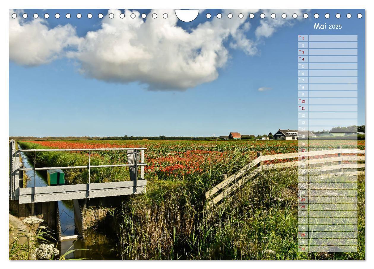 Bild: 9783435359097 | Ein Sommer auf Texel (Wandkalender 2025 DIN A4 quer), CALVENDO...