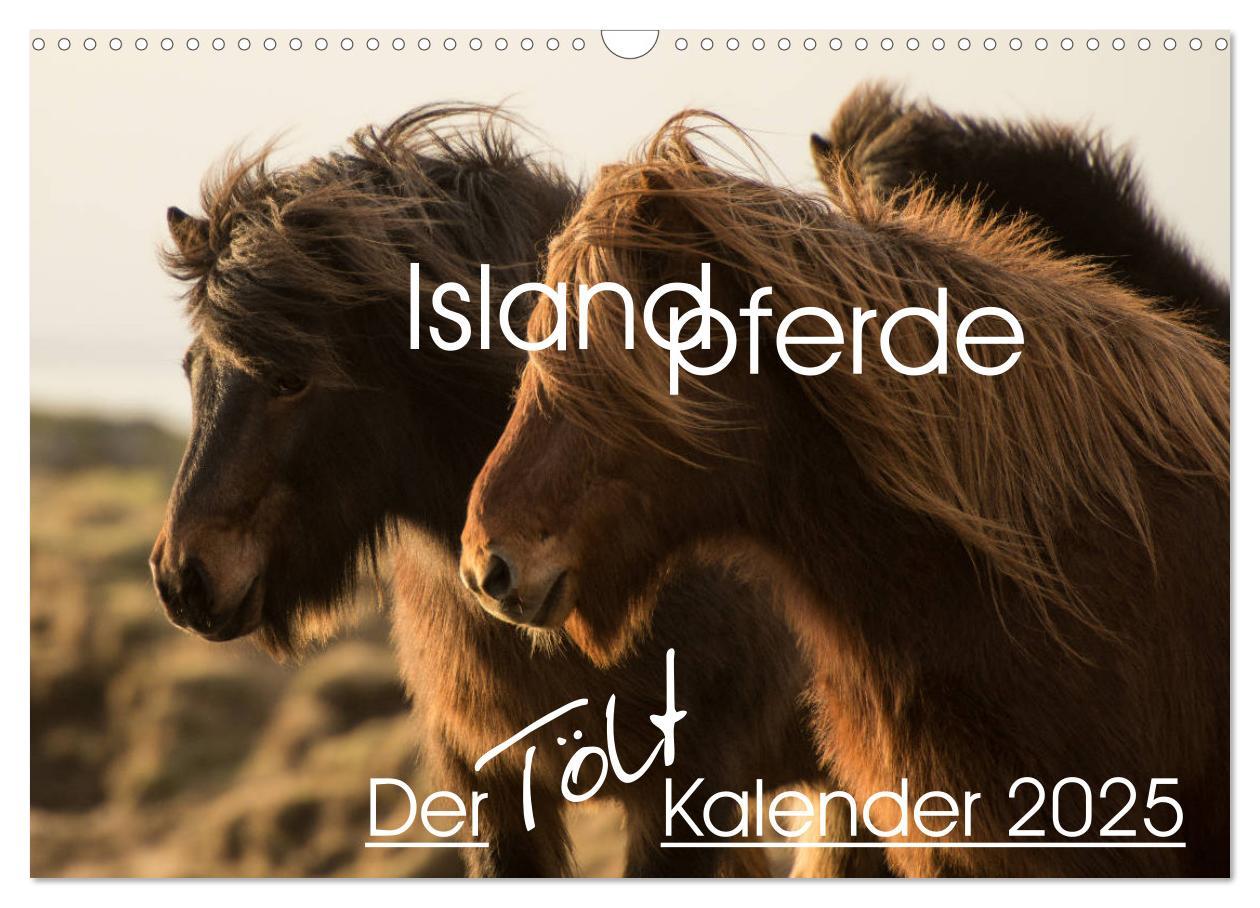 Cover: 9783435330614 | Islandpferde - Der Tölt Kalender (Wandkalender 2025 DIN A3 quer),...