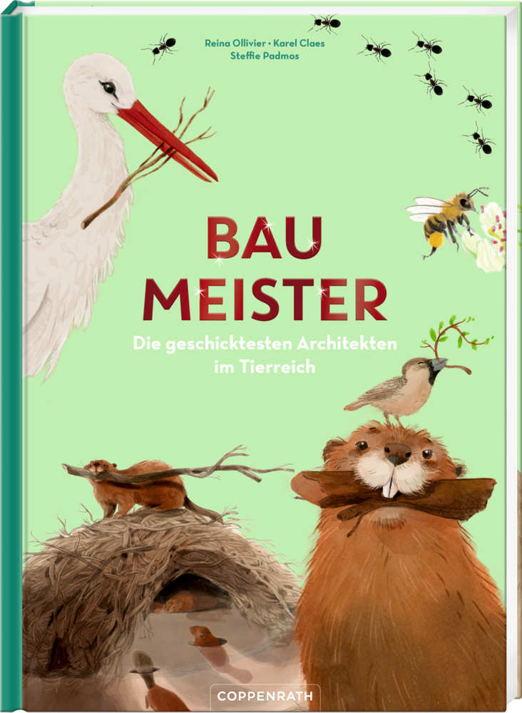 Cover: 9783649643531 | Baumeister | Die geschicktesten Architekten im Tierreich | Buch | 2023