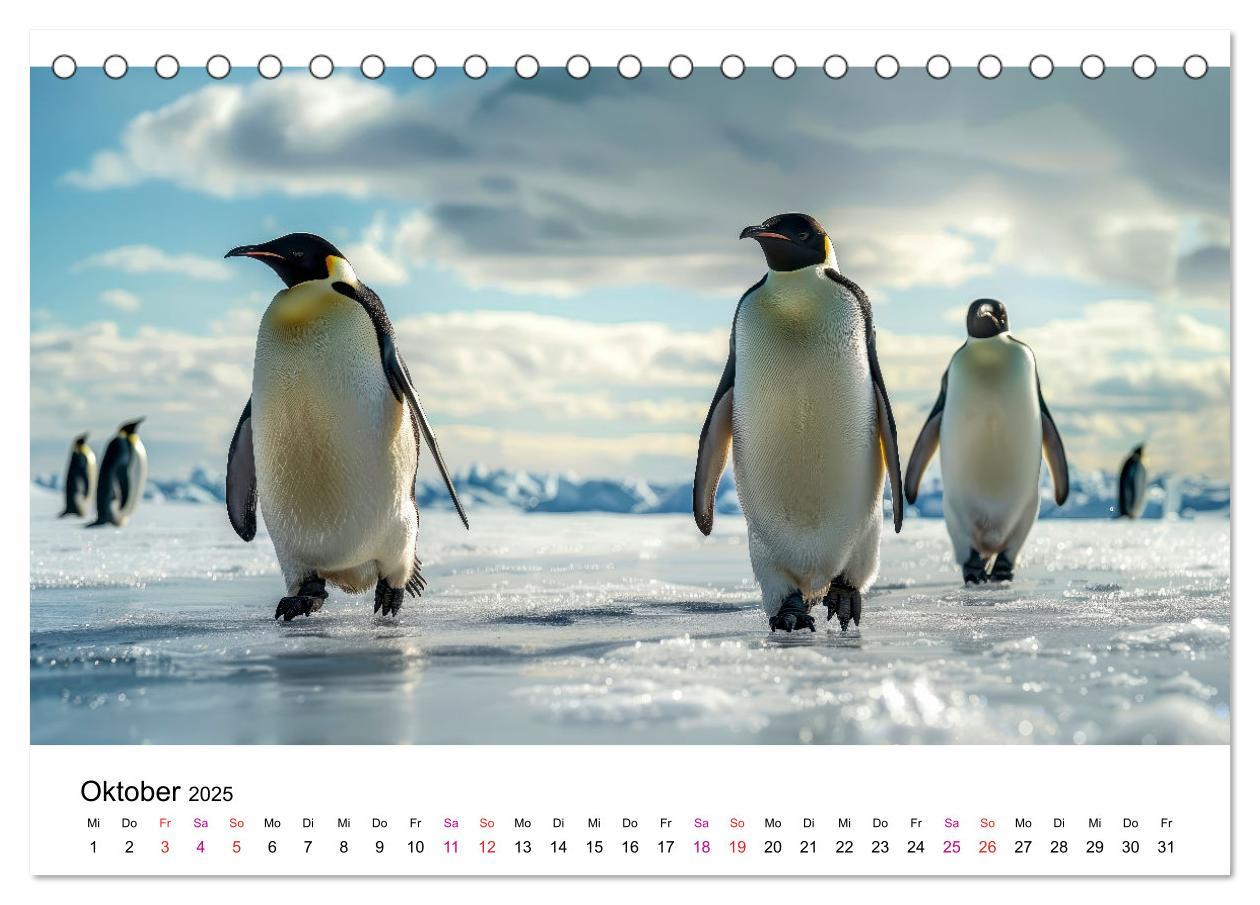 Bild: 9783457164471 | Maritim pur - Pinguine (Tischkalender 2025 DIN A5 quer), CALVENDO...