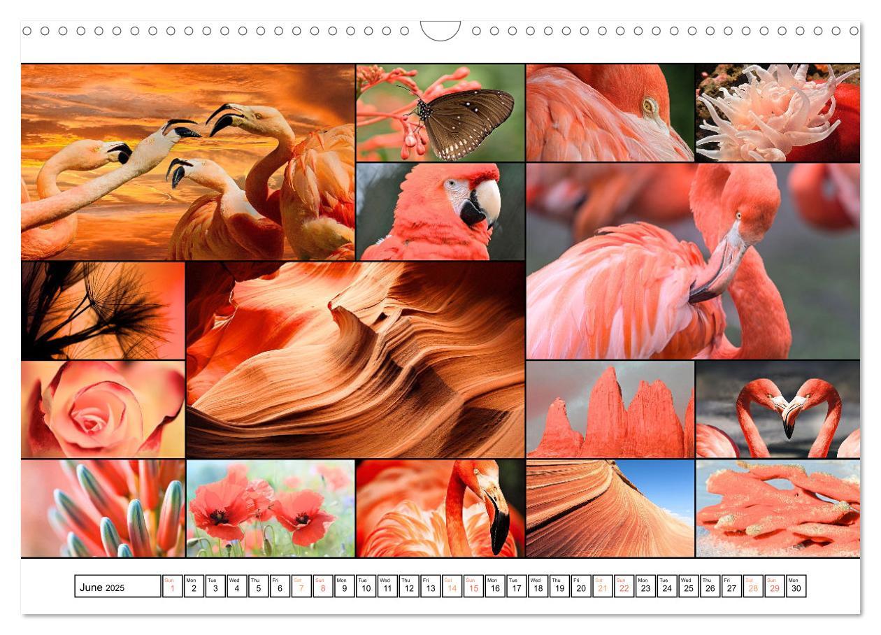 Bild: 9781325835355 | Colour Symphonies of the Earth (Wall Calendar 2025 DIN A3...