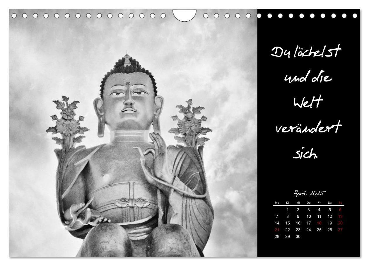 Bild: 9783435629305 | Worte des Buddha 2025 (Wandkalender 2025 DIN A4 quer), CALVENDO...