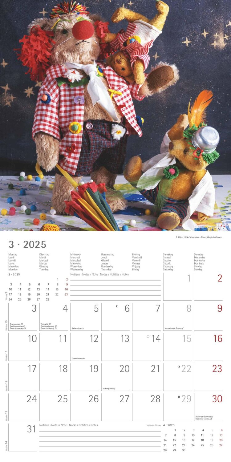 Bild: 4251732340643 | Teddy 2025 - Broschürenkalender 30x30 cm (30x60 geöffnet) -...