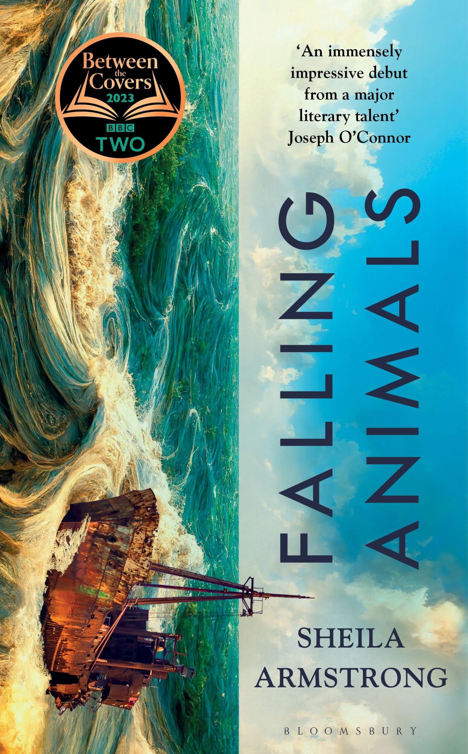 Cover: 9781526635853 | Falling Animals | Sheila Armstrong | Buch | Gebunden | Englisch | 2023