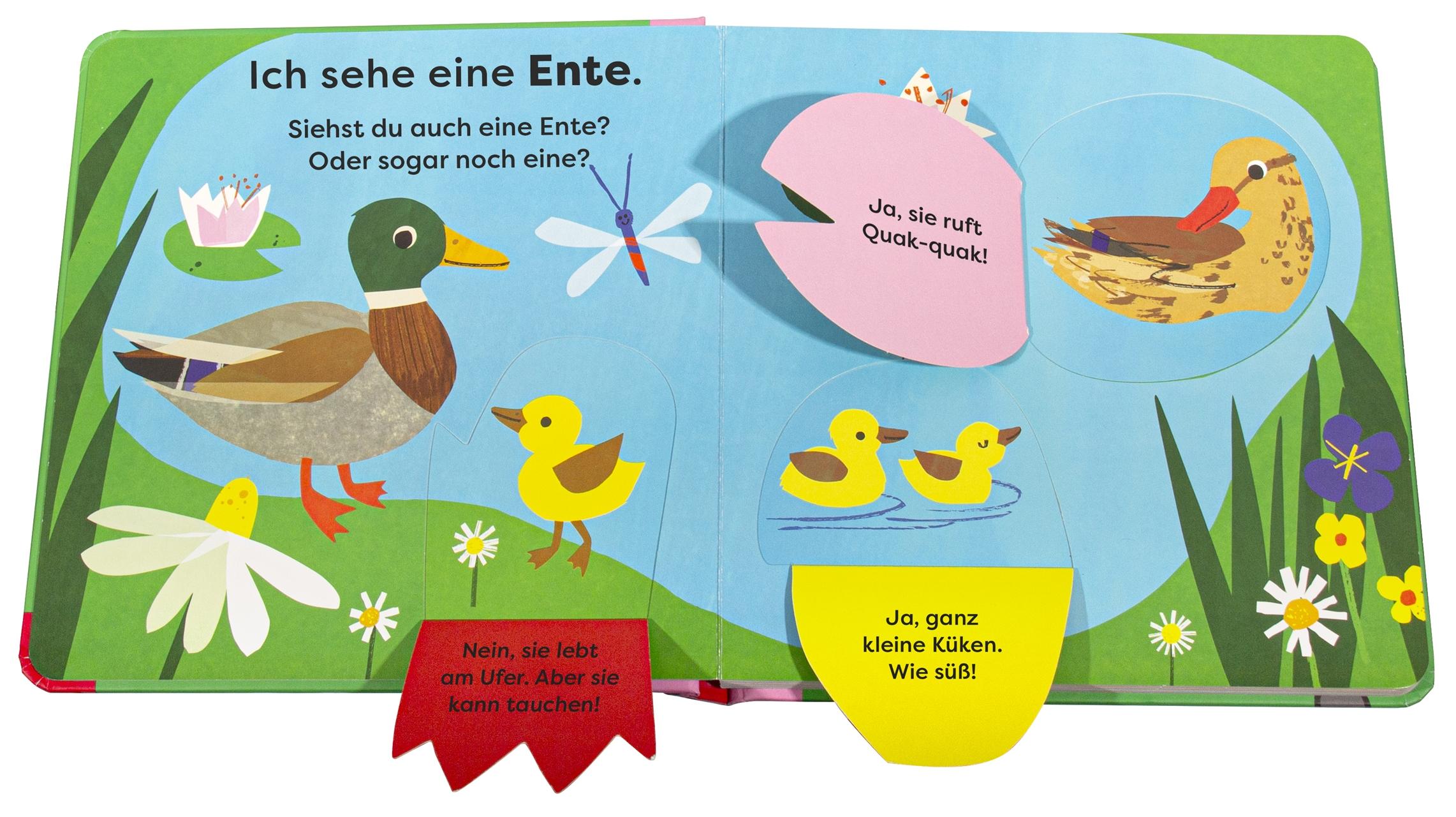 Bild: 9783831050512 | Mein erstes Natur-Entdeckerbuch. Da! Eine Ente | DK Verlag - Kids