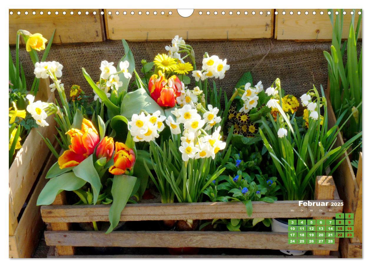 Bild: 9783383989124 | Urlaub im Garten (Wandkalender 2025 DIN A3 quer), CALVENDO...