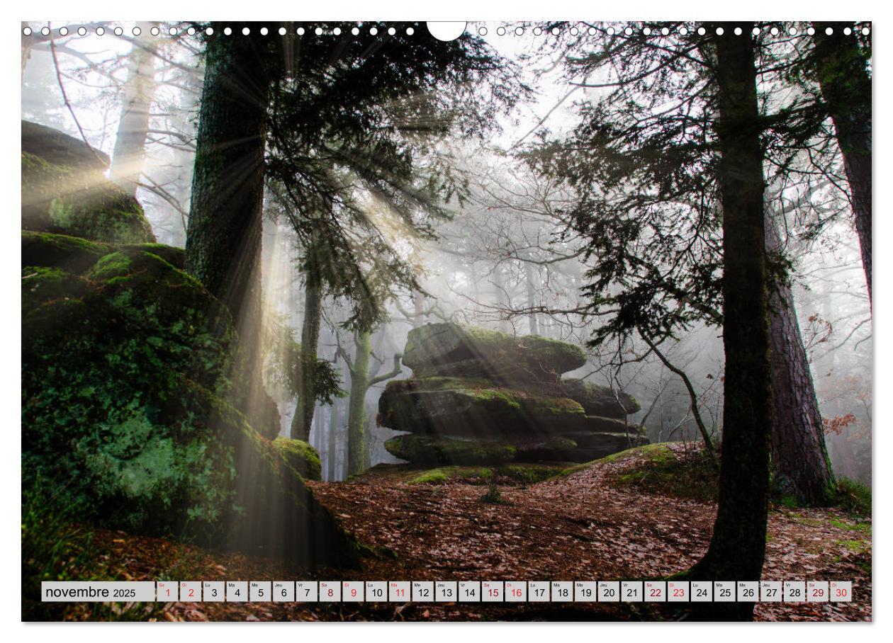 Bild: 9781325937813 | Splendeurs des Vosges (Calendrier mural 2025 DIN A3 vertical),...