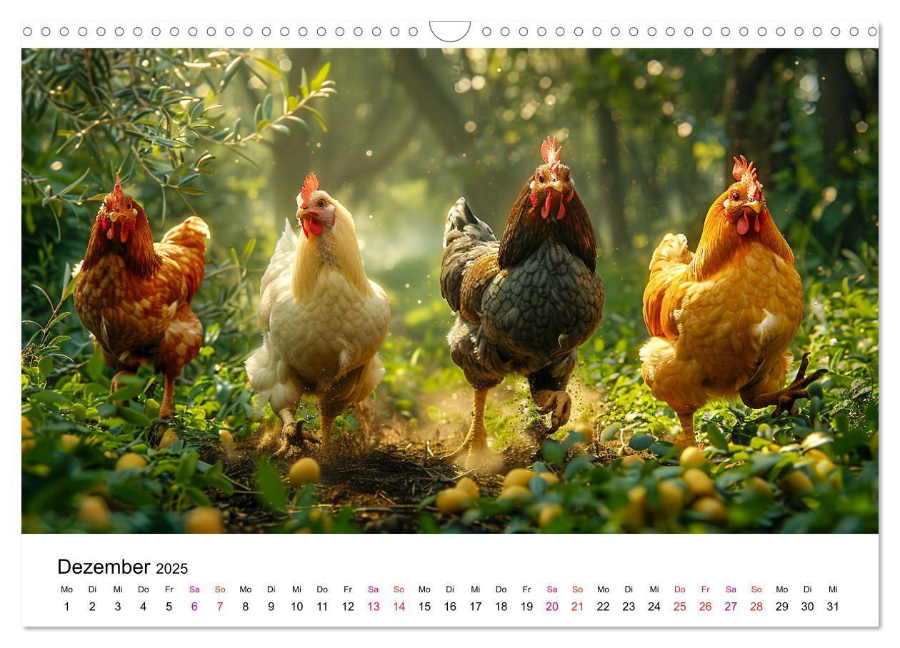 Bild: 9783457174906 | Hühner Federvieh (Wandkalender 2025 DIN A3 quer), CALVENDO...