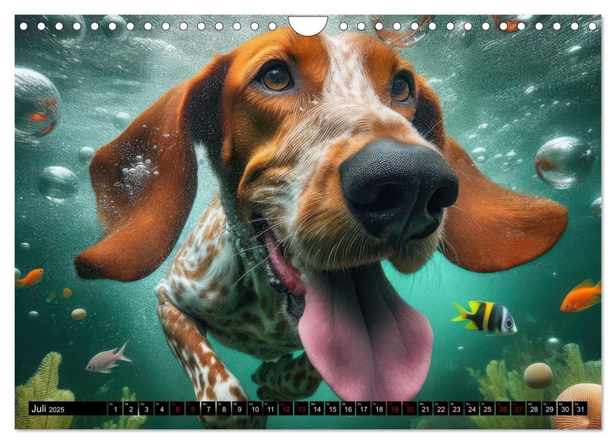 Bild: 9783457150429 | Badespaß - Hunde unter Wasser (Wandkalender 2025 DIN A4 quer),...