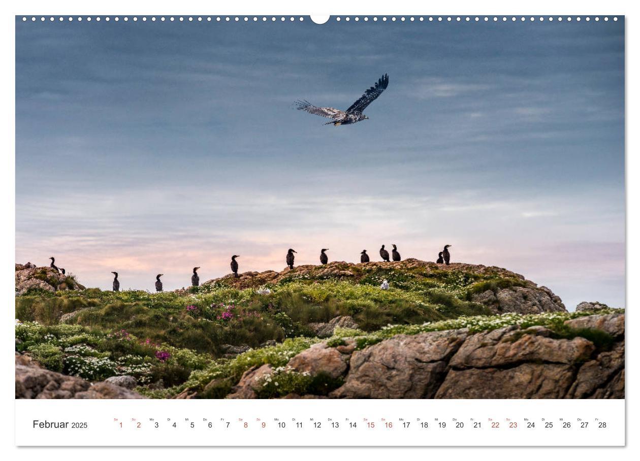 Bild: 9783435339648 | Nordland ¿ Die Weite Skandinaviens (Wandkalender 2025 DIN A2 quer),...