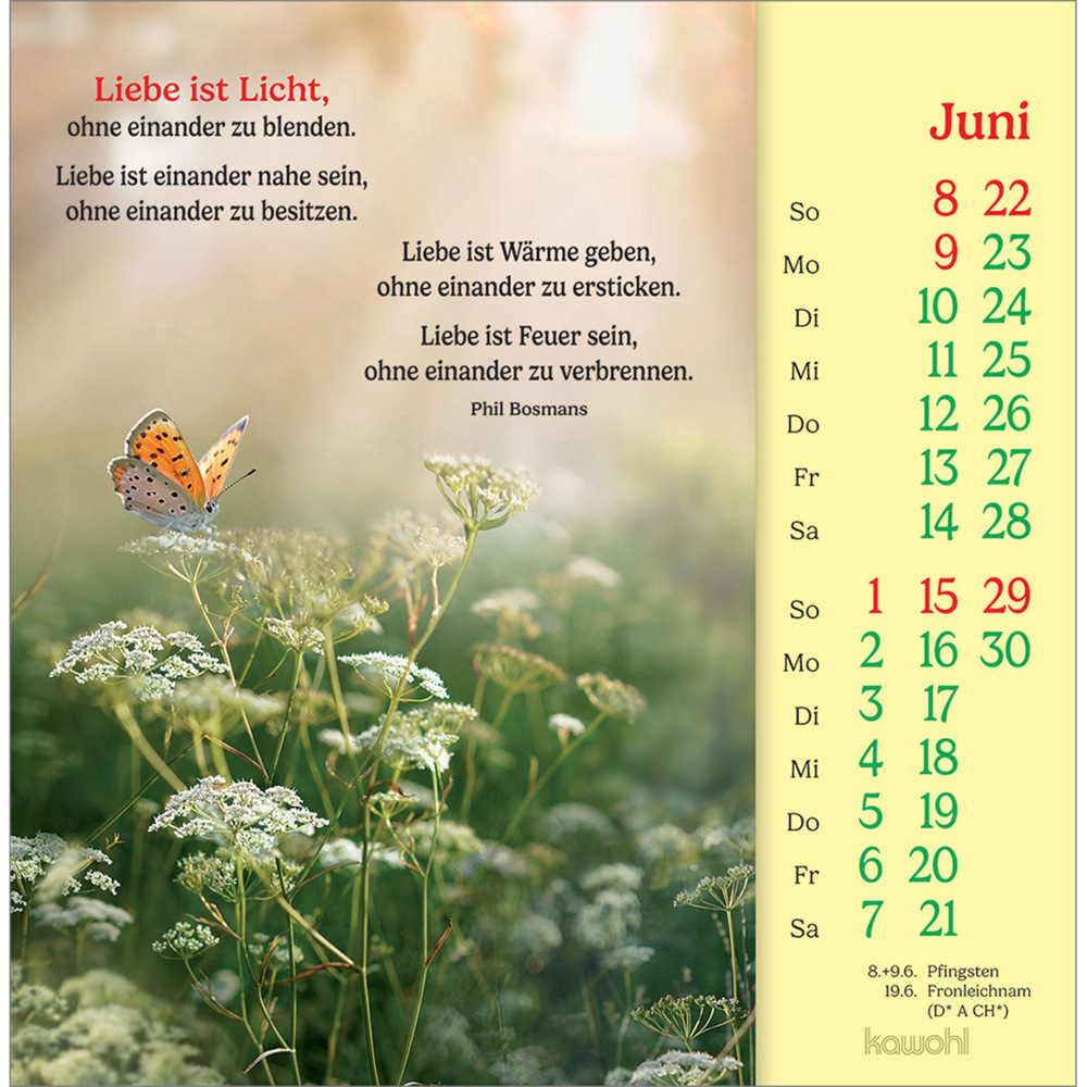 Bild: 9783754838051 | Phil Bosmans Postkartenkalender 2025 | Phil Bosmans | Kalender | 13 S.