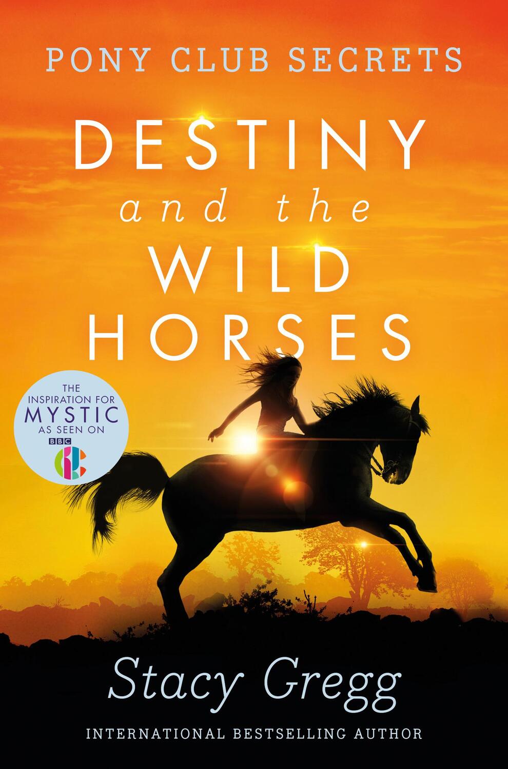 Cover: 9780007245185 | Destiny and the Wild Horses | Stacy Gregg | Taschenbuch | Englisch