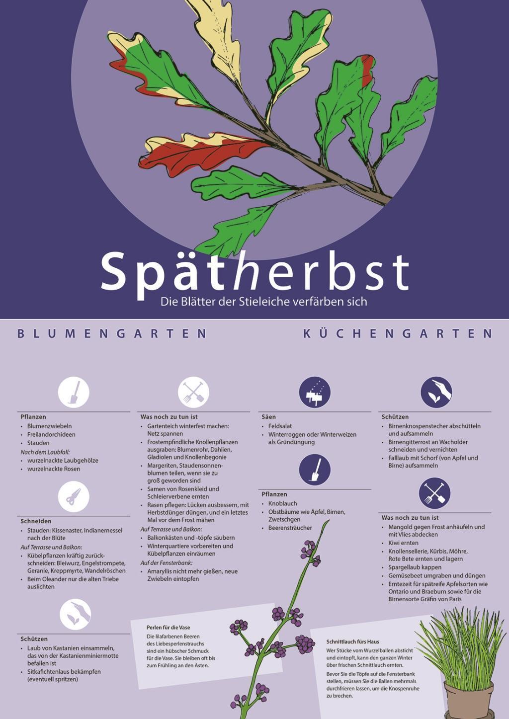 Bild: 9783000643941 | Phänologischer Gartenkalender | Besser gärtnern im Rhythmus der Natur