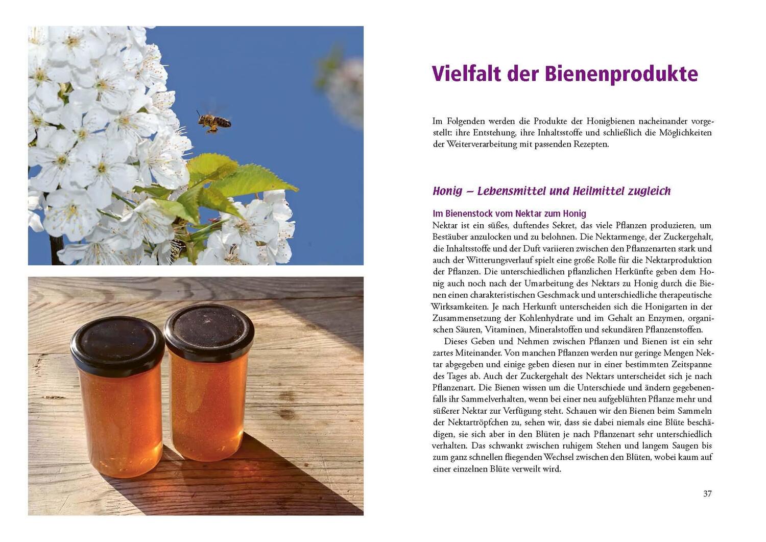 Bild: 9783895664267 | Heilkraft aus dem Bienenstock | Almut Tobis (u. a.) | Buch | 160 S.