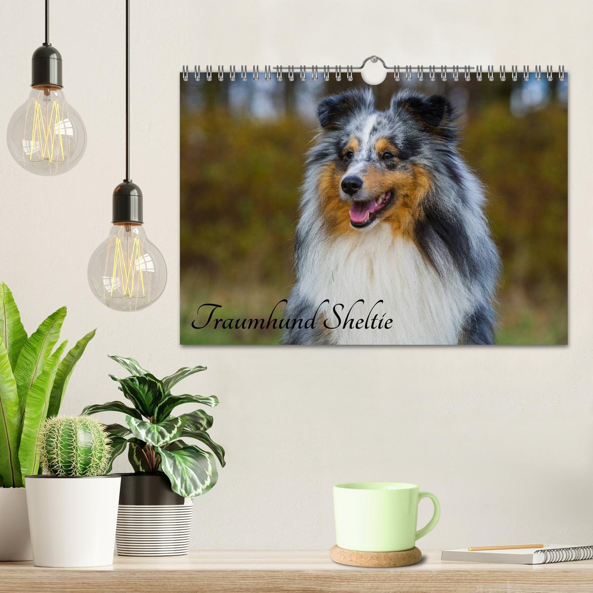 Bild: 9783435569878 | Traumhund Sheltie (Wandkalender 2025 DIN A4 quer), CALVENDO...