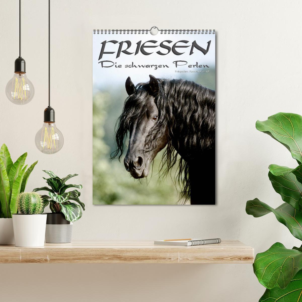 Bild: 9783457066515 | Friesen - die schwarzen Perlen (Wandkalender 2025 DIN A3 hoch),...