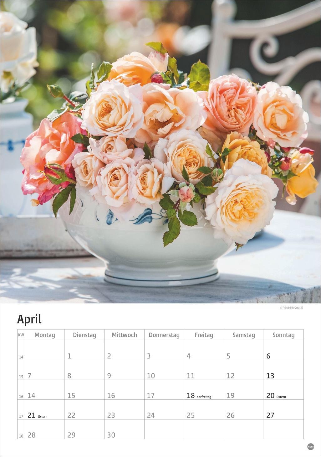 Bild: 9783756405596 | Rosenpracht Kalender 2025 | Heye | Kalender | Spiralbindung | 13 S.