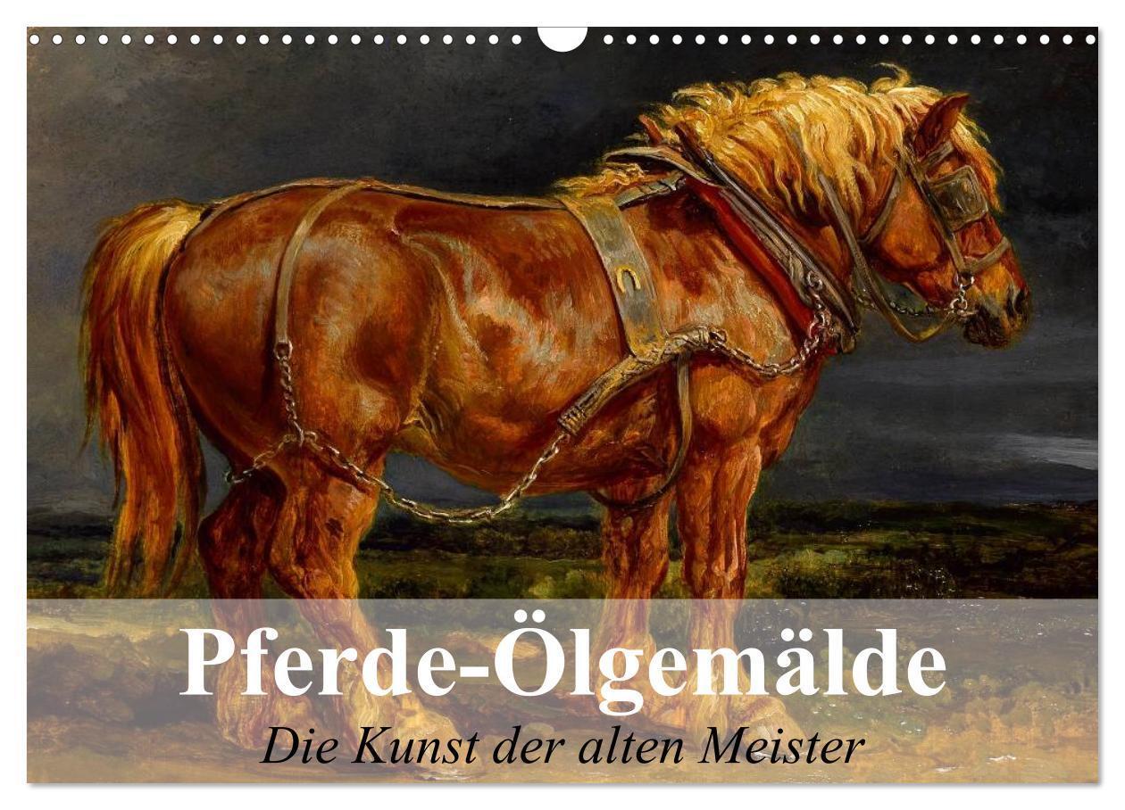 Cover: 9783435656592 | Pferde-Ölgemälde - Die Kunst der alten Meister (Wandkalender 2025...