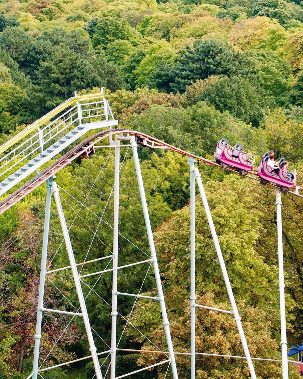 Bild: 9783035628555 | Der Wiener Prater. Labor der Moderne | Politik - Vergnügen - Technik