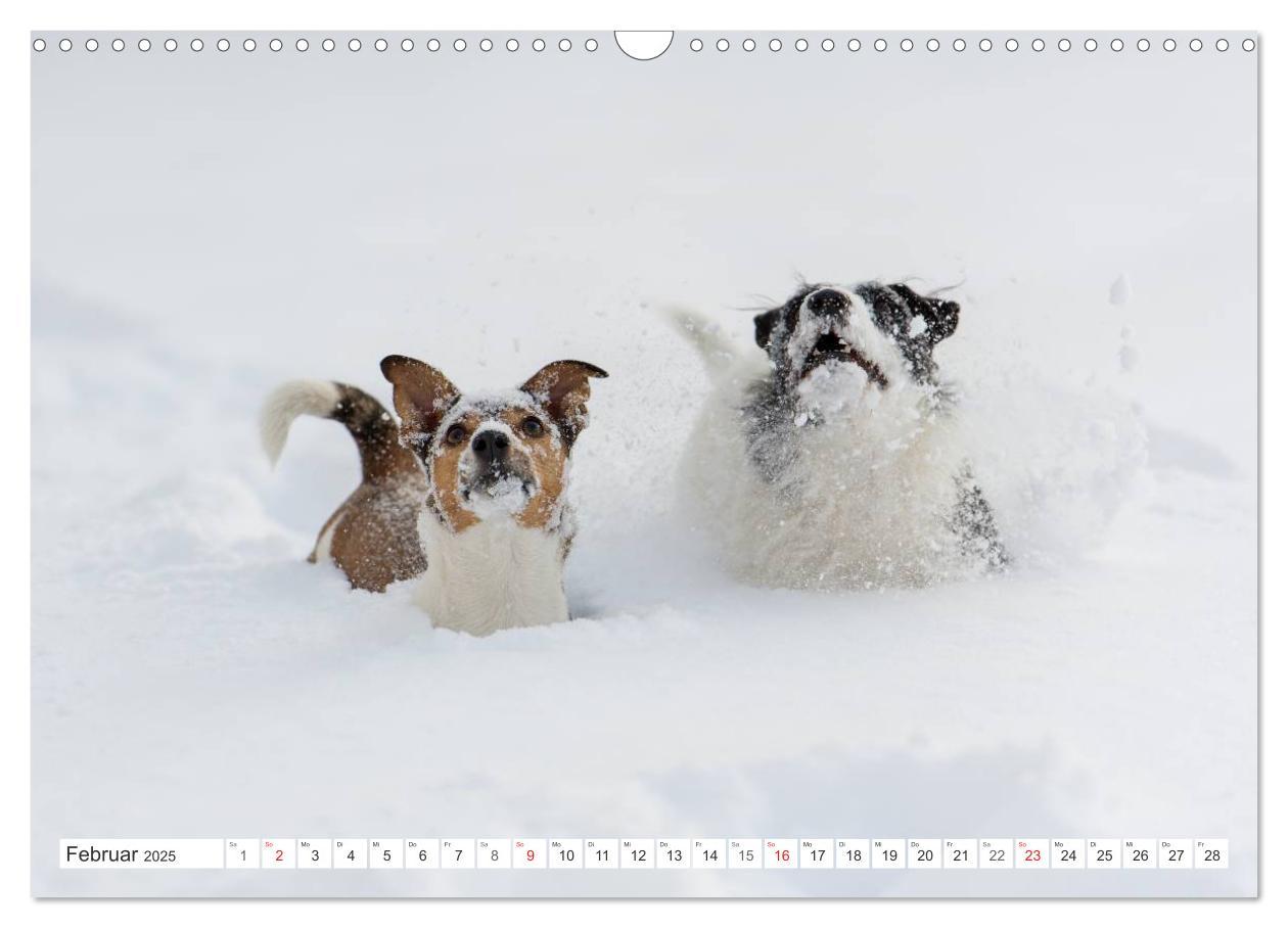 Bild: 9783435597826 | Emotionale Momente: Wild und Jagd. (Wandkalender 2025 DIN A3 quer),...