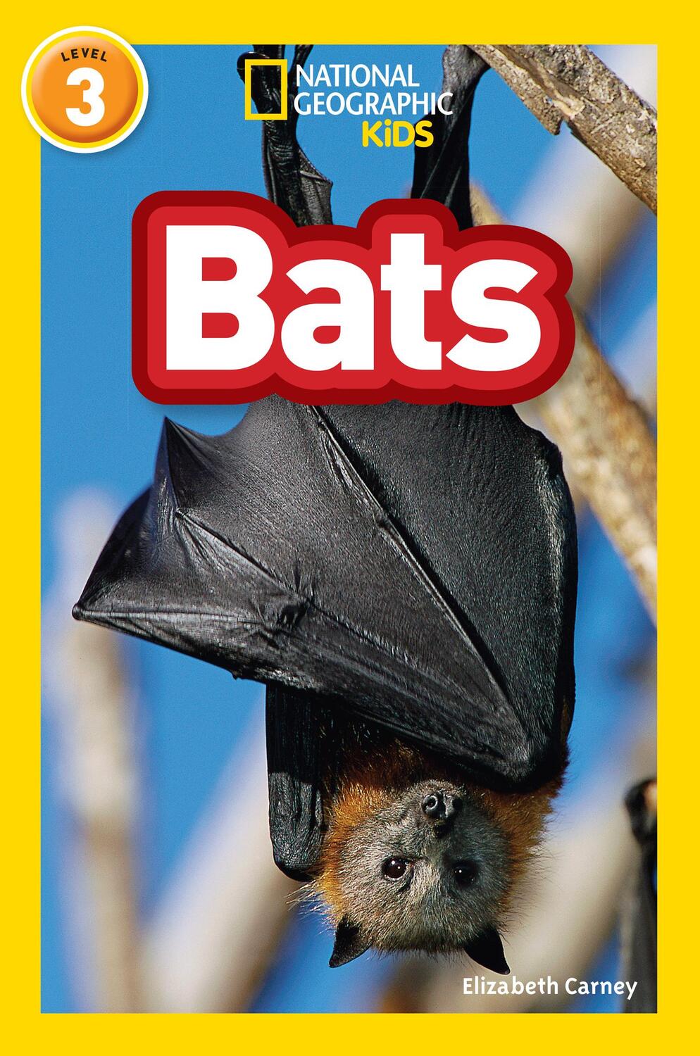 Cover: 9780008266707 | Bats | Level 3 | Elizabeth Carney (u. a.) | Taschenbuch | Englisch