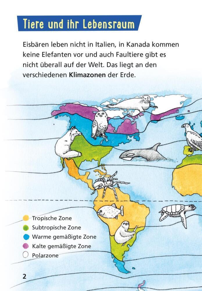 Bild: 9783551242259 | Pixi Wissen 42: Tiere der Welt | Jürgen Beckhoff | Taschenbuch | 2022