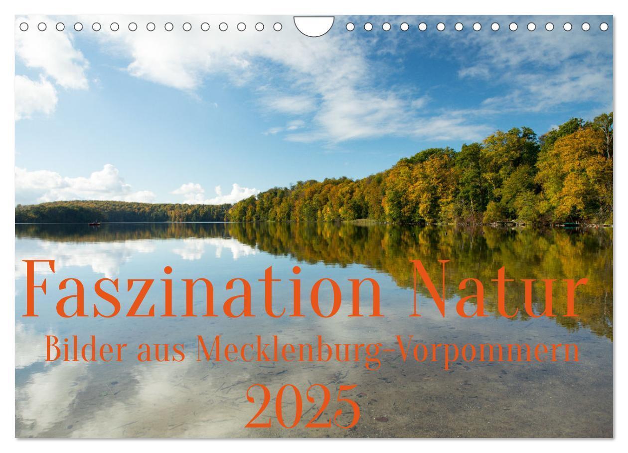 Cover: 9783435057962 | Faszination Natur - Bilder aus Mecklenburg-Vorpommern (Wandkalender...