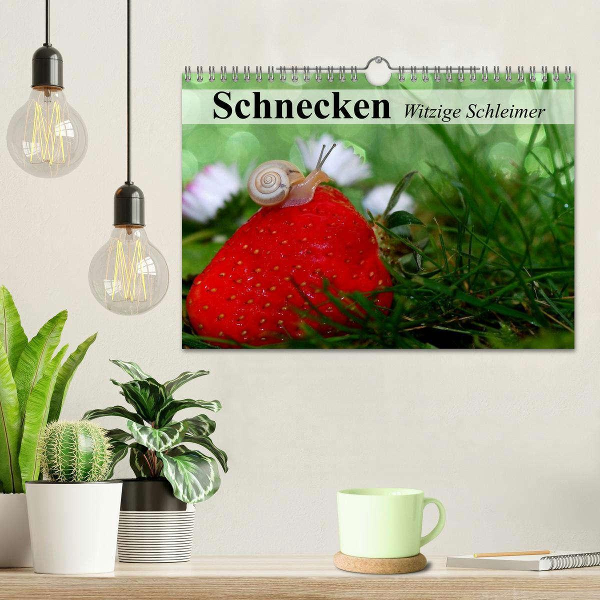 Bild: 9783435606283 | Schnecken. Witzige Schleimer (Wandkalender 2025 DIN A4 quer),...