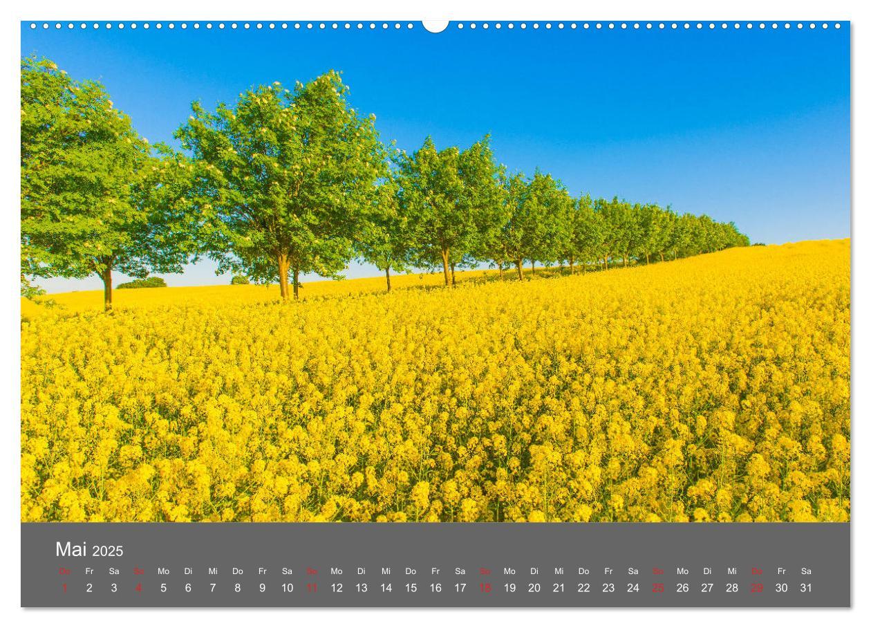 Bild: 9783435299010 | Schönes Meck-Pomm (Wandkalender 2025 DIN A2 quer), CALVENDO...