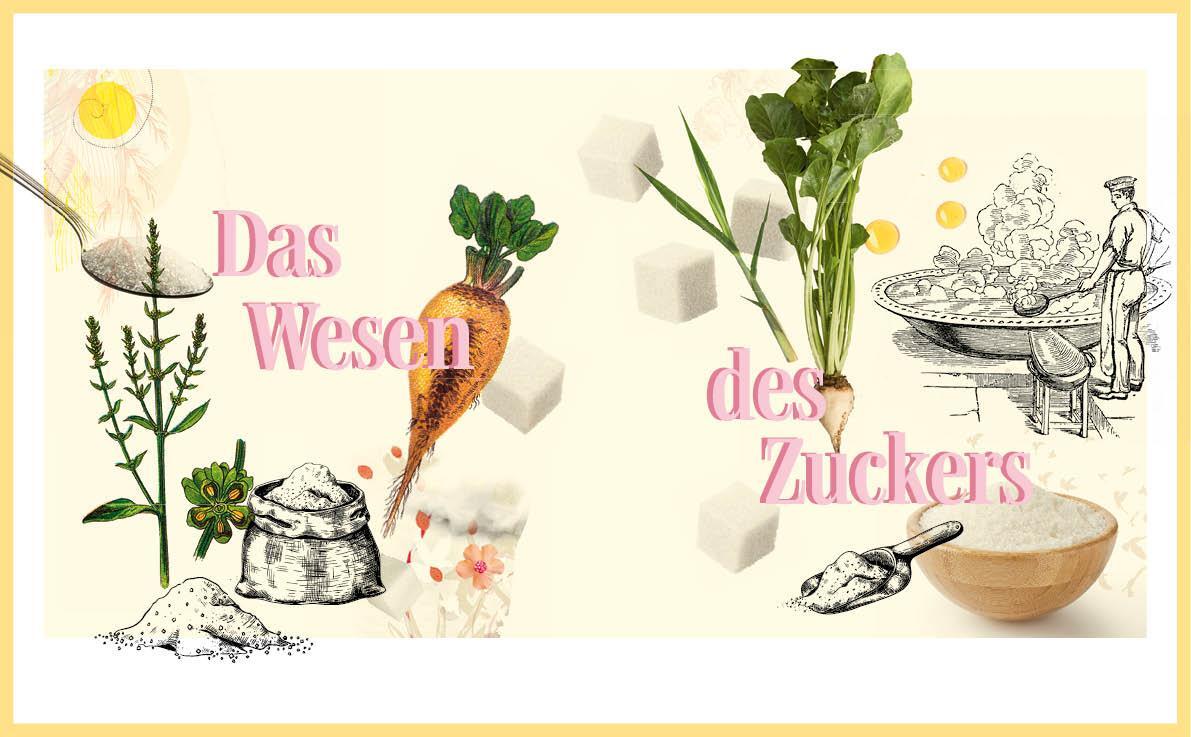 Bild: 9783710403644 | Das Zuckerl | Geschichte und Tradition einer Handwerkskunst | Buch