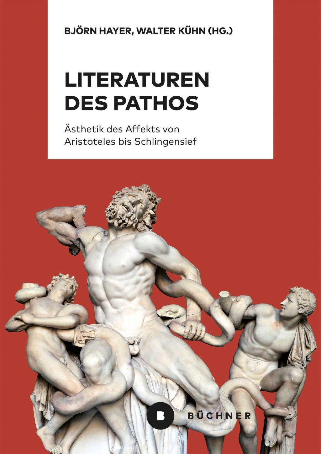 Cover: 9783963171246 | Literaturen des Pathos | Björn Hayer | Taschenbuch | 192 S. | Deutsch