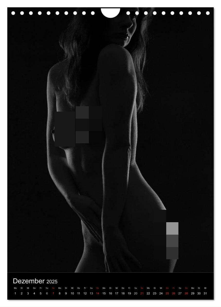 Bild: 9783457087855 | Erotische Silhouetten (Wandkalender 2025 DIN A4 hoch), CALVENDO...