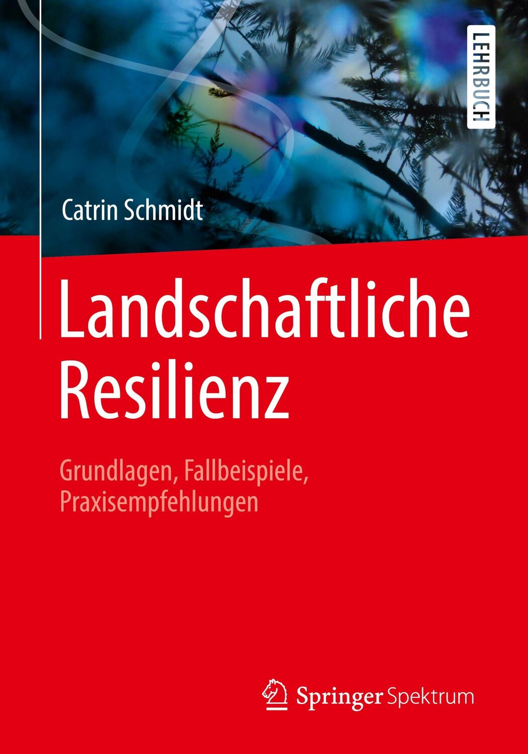 Cover: 9783662610282 | Landschaftliche Resilienz | Catrin Schmidt | Taschenbuch | Paperback