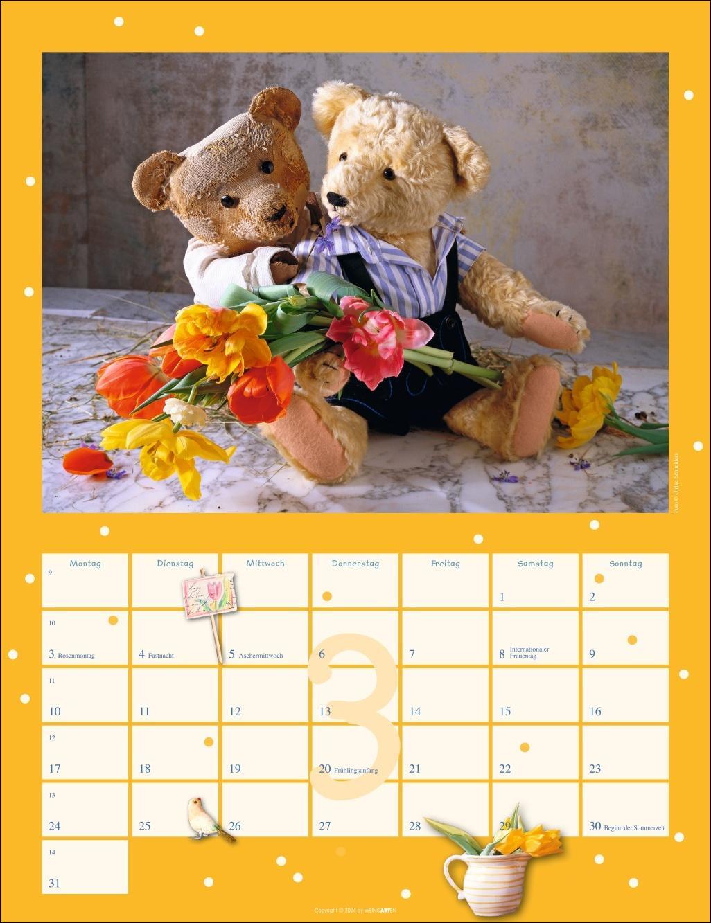 Bild: 9783839900512 | Teddybären Kalender 2025 | Kalender | Spiralbindung | 14 S. | Deutsch