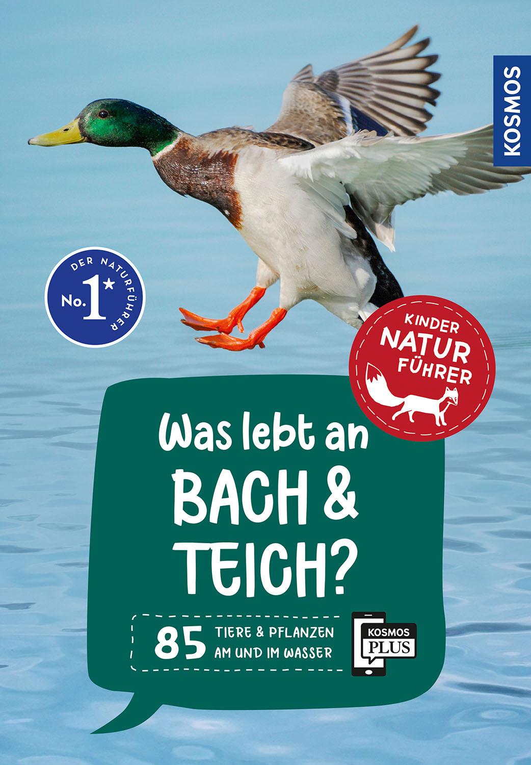 Cover: 9783440182116 | Was lebt an Bach und Teich? Kindernaturführer | Anita van Saan | Buch