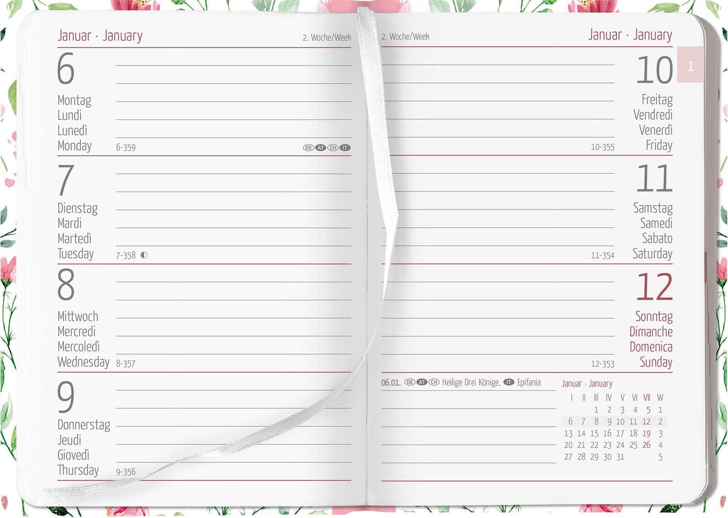 Bild: 4251732342555 | Ladytimer Mini Roses 2025 - Taschen-Kalender 8x11,5 cm - Rosen -...