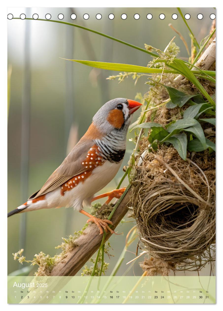 Bild: 9783457231265 | Zebrafinken - Ein Jahr voller gefiederter Momente (Tischkalender...