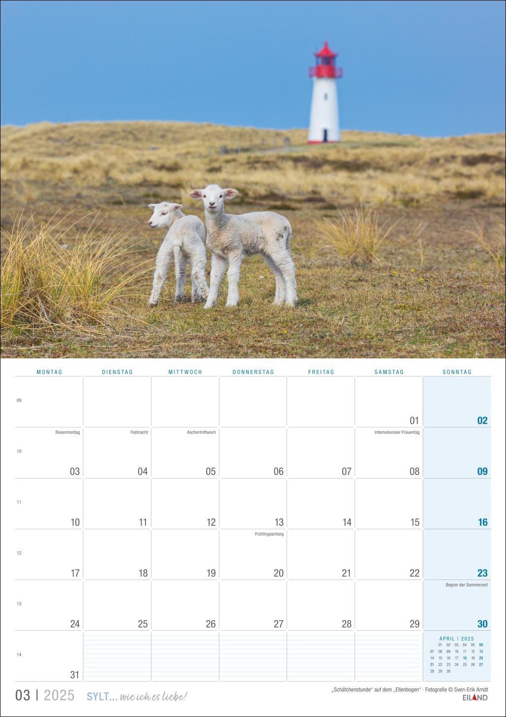 Bild: 9783964023438 | Sylt ... wie ich es liebe Kalender 2025 | Eiland | Kalender | 13 S.