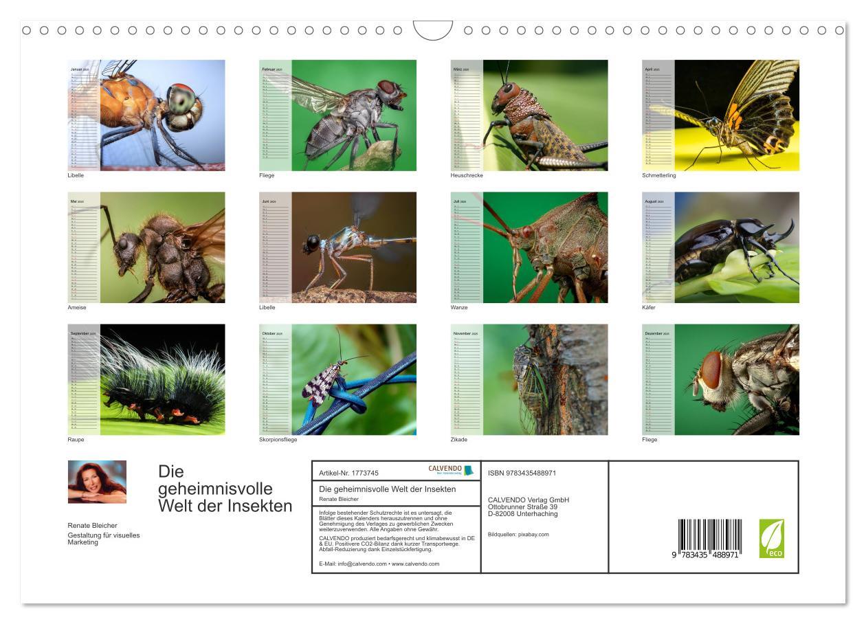 Bild: 9783435488971 | Die geheimnisvolle Welt der Insekten (Wandkalender 2025 DIN A3...