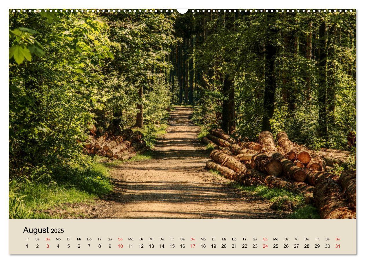 Bild: 9783435317714 | Der Wald. Durch zauberhafte Waldlandschaften (Wandkalender 2025 DIN...