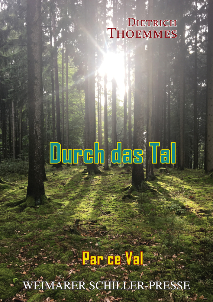 Cover: 9783837224825 | Durch das Tal | Dietrich Thoemmes | Buch | Deutsch | 2023