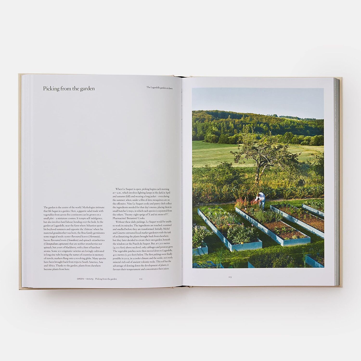 Bild: 9781838662769 | Bras | The Tastes of Aubrac | Sébastien Bras | Buch | Phaidon Press