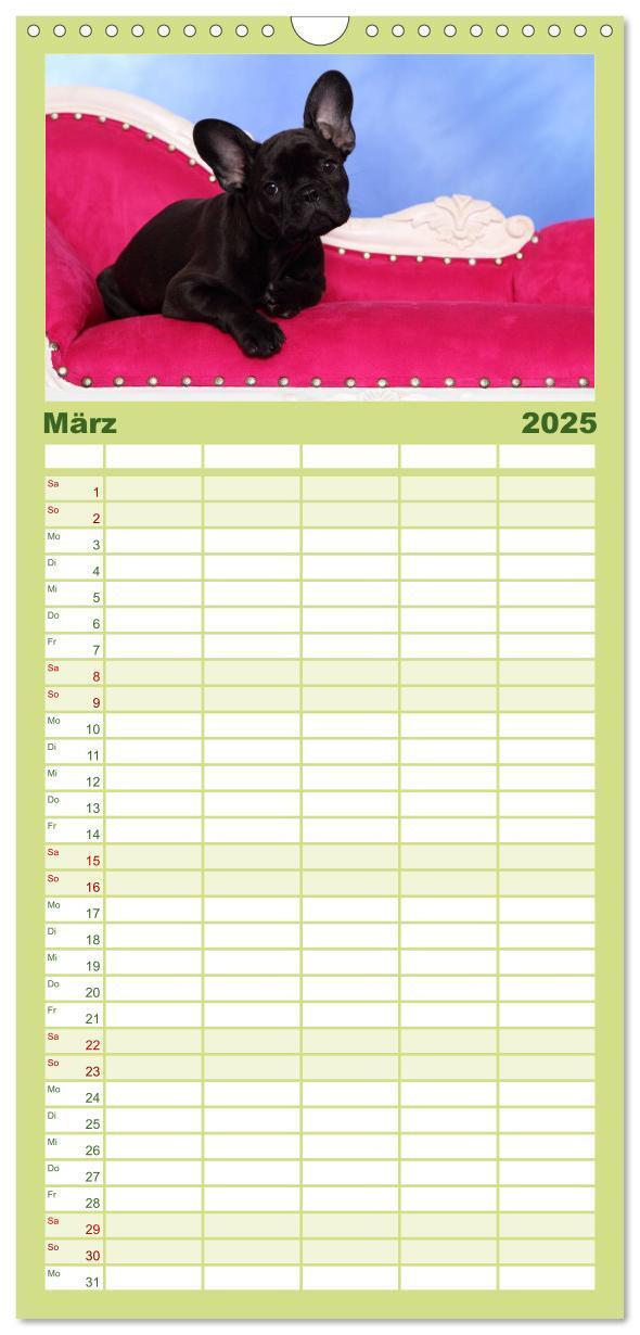 Bild: 9783457111284 | Familienplaner 2025 - Der Bully - Kalender Familienplaner hoch mit...