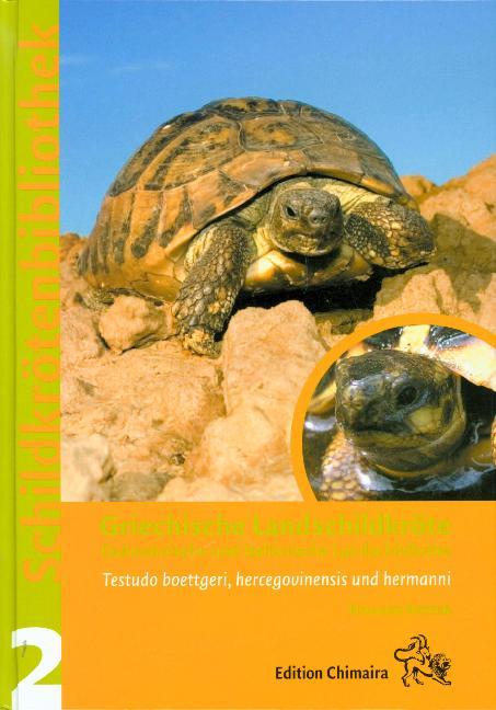 Cover: 9783899735024 | Griechische Landschildkröte | Holger Vetter | Buch | Deutsch